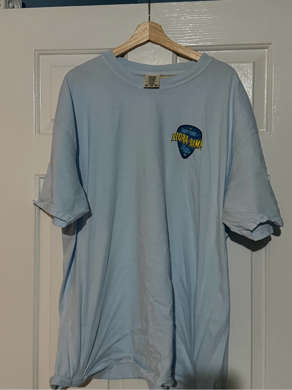 Comfort Colors Light Blue Short Sleeve Tee with Small Chest Graphic